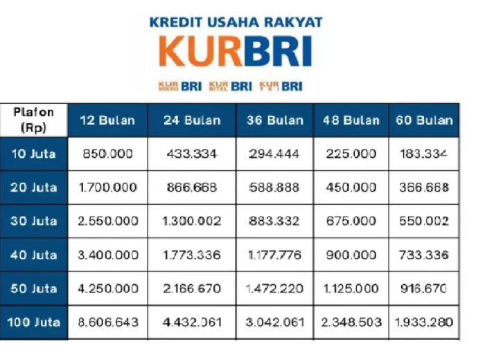Rincian Angsuran Terbaru KUR BRI 2025 Untuk Pinjaman Rp100 Juta, Serta Syarat Minimal Usaha Berdiri Terbaru