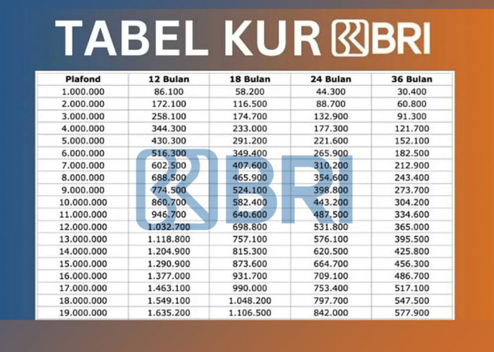 Simulasi Pinjaman BRI 300 Juta dari KUR BRI 2025, Cek Cicilan Terendah dan Pilihan Tenornya di Sini!