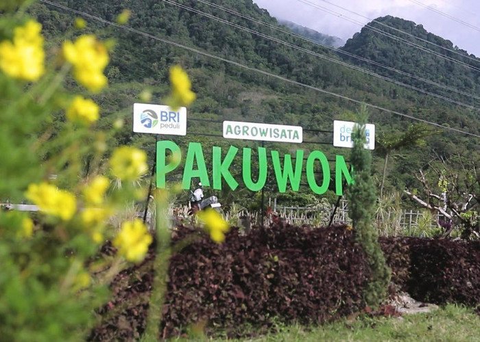 Lewat Program Desa BRILiaN, Desa Pajambon di Kuningan Jadi Contoh Transformasi Ekonomi Desa Berbasis Lokal 