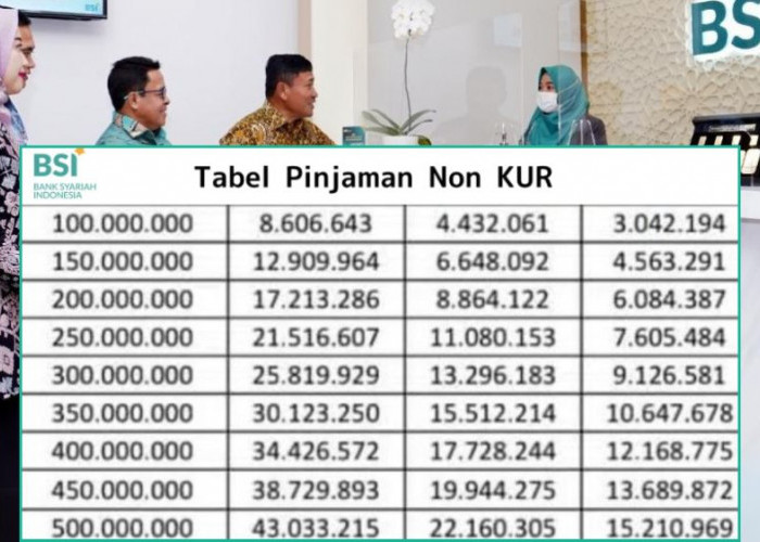 Tanpa Bunga, Tanpa Ribet! Kredit Non KUR BSI Berbasis Syariah Cicilan Mulai 200 Ribuan, Plafon Hingga 500 Juta