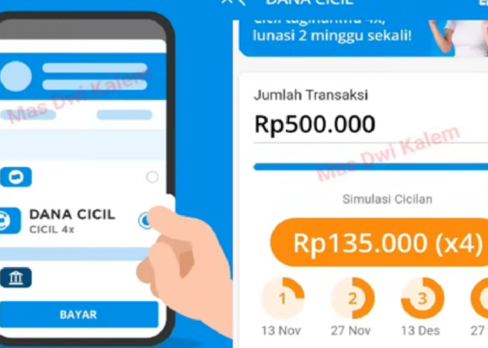Sekarang Kamu Bisa Pinjam Saldo DANA Lewat Fitur Dana Cicil! Cek Cara Aktivasinya Disini, Bisa Pinjam 10 Juta