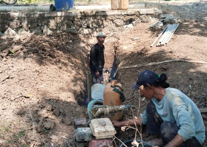 Petani Lobener Lor Bangun Saluran Air Swadaya Demi Selamatkan Musim Tanam Gadu