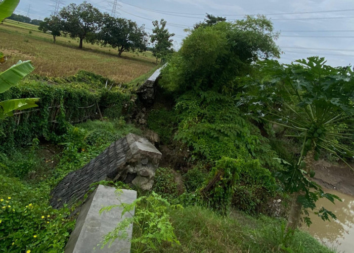 Tanggul Sungai Cimanuk Jebol, Ratusan Rumah Warga di Desa Tersana Terancam Kebanjiran