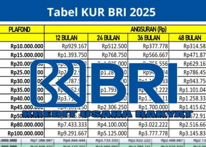 Update Tabel KUR BRI 2025: Cicilan Ringan Mulai Rp160 Ribuan per Bulan!