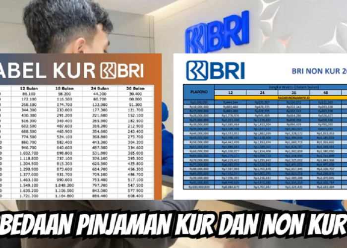 Perbandingan Pinjaman KUR dan Non-KUR BRI, Mana yang Lebih Cocok untuk Usaha Mikro?