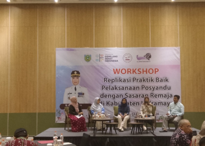 Yayasan SAPA dan Selendang Puan Gelar Workshop Posyandu Remaja, Upaya Perluas Akses Layanan HKSR