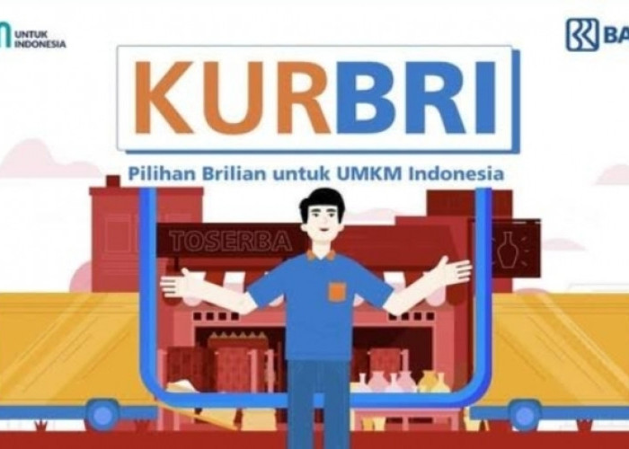 Tabel Pinjaman KUR BRI Rp500 Juta Angsuran Perbulan Ringan! Tenor pelunasan Hingga 5 Tahun 
