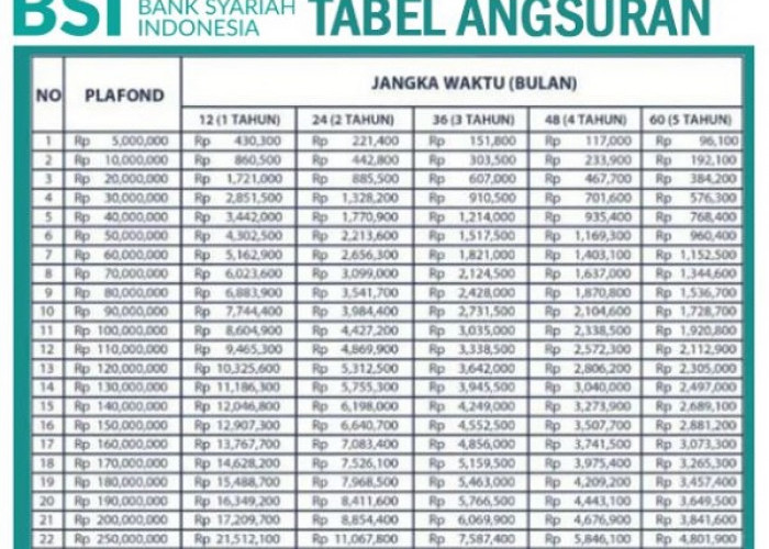 Butuh Pinjaman Dana Besar Tanpa Bunga? Ini Skema Pembiayaan Syariah Non KUR BSI dengan Cicilan Mulai 71 Ribuan