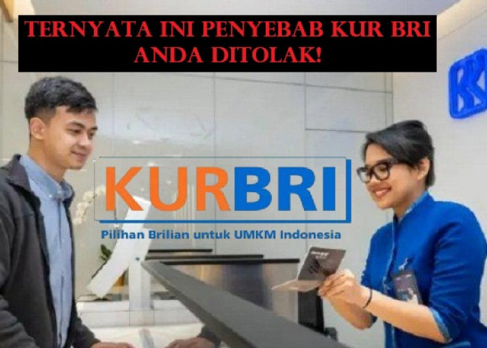 Jangan Anggap Sepele! Hal Kecil Ini Ternyata Bisa Jadi Penyebab Pengajuan KUR BRI Anda Ditolak! 