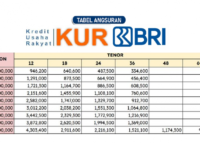 Ini Rincian Tabel KUR BRI 2025 Pinjaman 50 Juta, Serta Cara Agar Pengajuan Cepat Diterima Bank