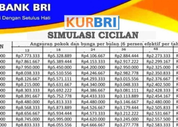 Biaya Cicilan Mulai dari 216 Ribuan Tanpa Agunan, Berikut Tabel Angsuran KUR BRI 100 Juta