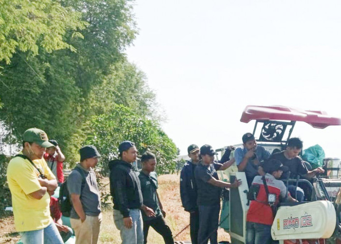 Modernisasi Pertanian di Kabupaten Indramayu, Ratusan Petani Dilatih Pengoperasian Combine Harvester