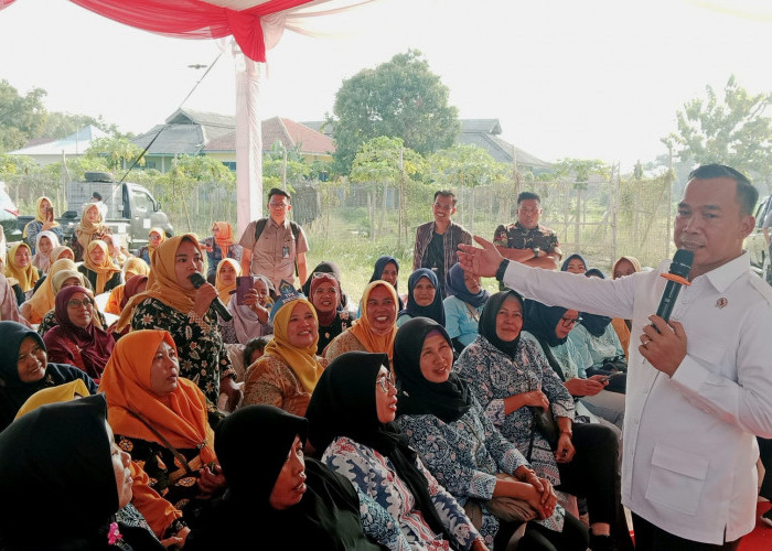 Kunker ke Indramayu, Kepala BKKBN Tinjau Kesiapan Ribuan TPK Distribusikan MBG 3B untuk Tekan Stunting