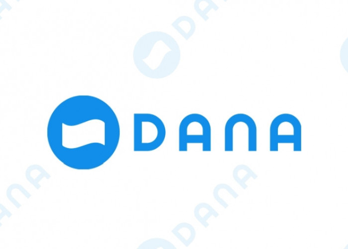 DANA Cicil Belum Muncul? Pakai 3 Cara Ini Dijamin Auto Muncul, Kuy Langsung Praktekkan Sekarang Juga! 