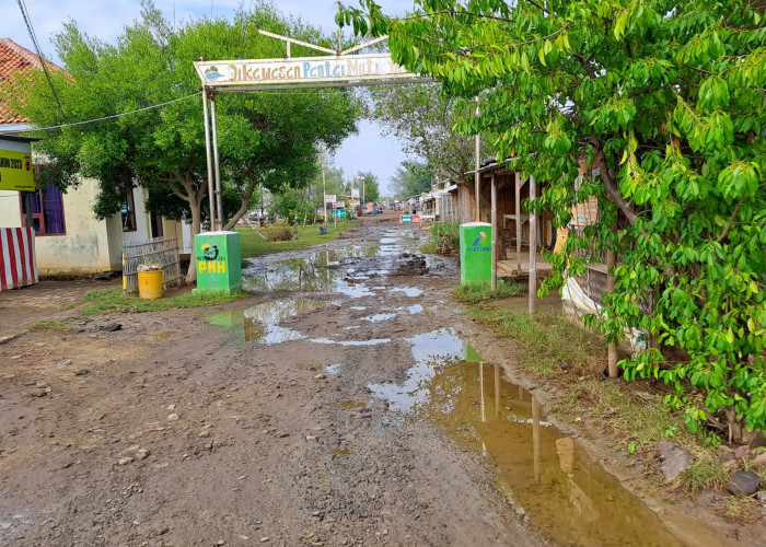 Kawasan Wisata Pantai Karangsong Kembali Diterjang Rob, Pengunjung Semakin Sepi