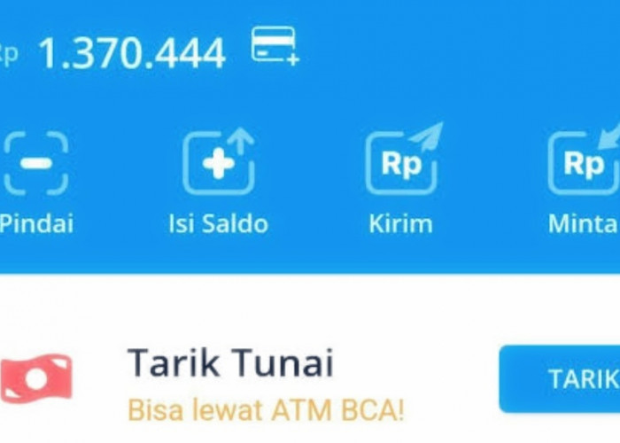 Cair E-wallet Rp1.310.000 dari Aplikasi Penghasil Saldo DANA 2025 Tercepat, Hadiah Lumayan Buat Uang Jajan
