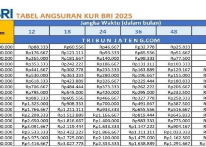 Pinjaman Rp10 Juta Sampai Rp500 Juta, Simak Tabel Angsuran KUR BRI yang Bikin Kamu Tenang!
