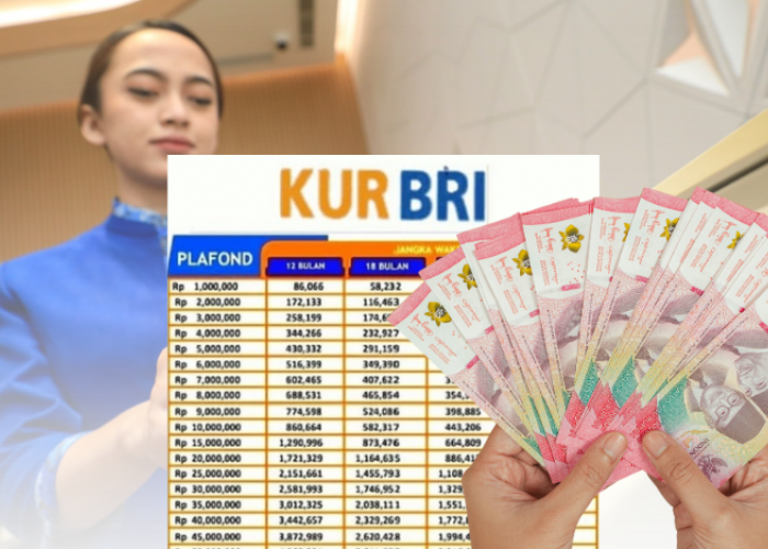Rincian Angsuran Terendah KUR BRI Plafon 50 Juta Edisi Agustus 2025, Cicilan Mulai dari Rp47 Ribuan Perbulan