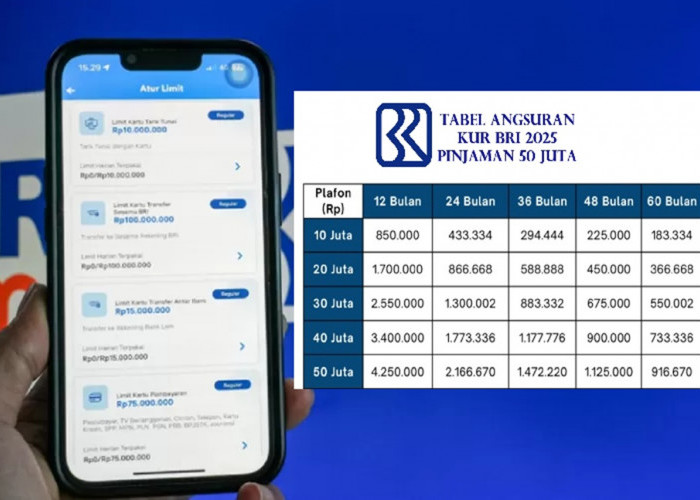 UMKM Wajib Tau! Begini Cara Lengkap Pengajuan KUR BRI 2025 Secara Online dan Offline!
