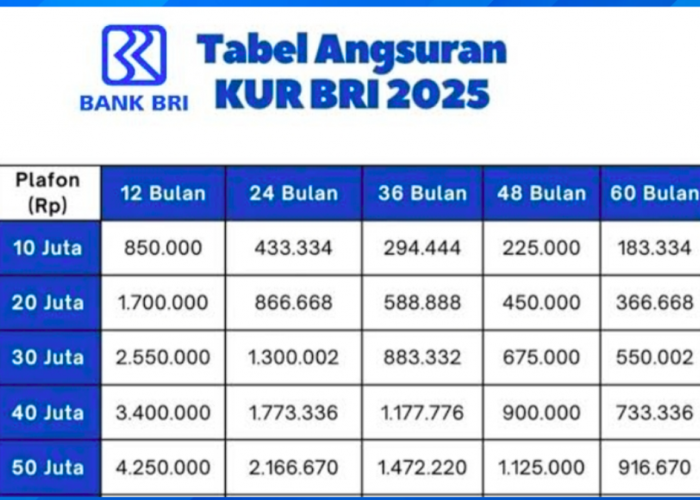 Tabel Pinjaman KUR BRI 50 Juta Terbaru 2025 untuk Modal UMKM, Berapa Cicilannya?