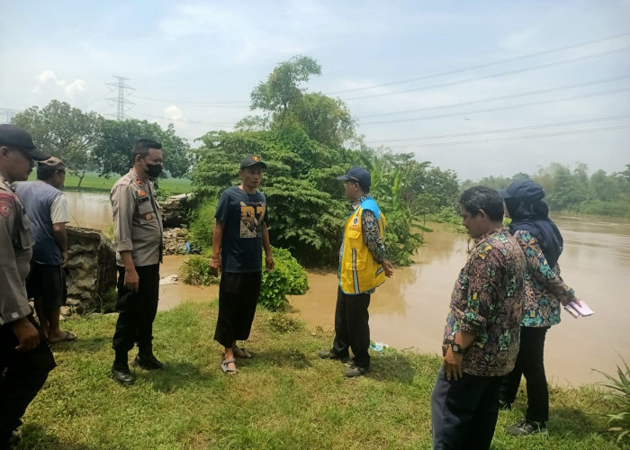  Tanggul Jebol, Banjir Rendam Sawah, Begini Imbauan Kapolsek Indramayu