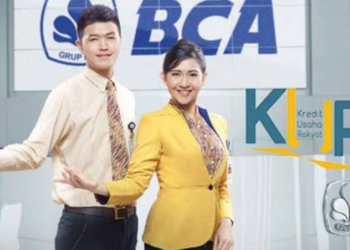 Cepat, Seberapa Lama Pengajuan KUR BCA Online Plafon Rp500.000.000 Juta? Prosesnya Sekitar...