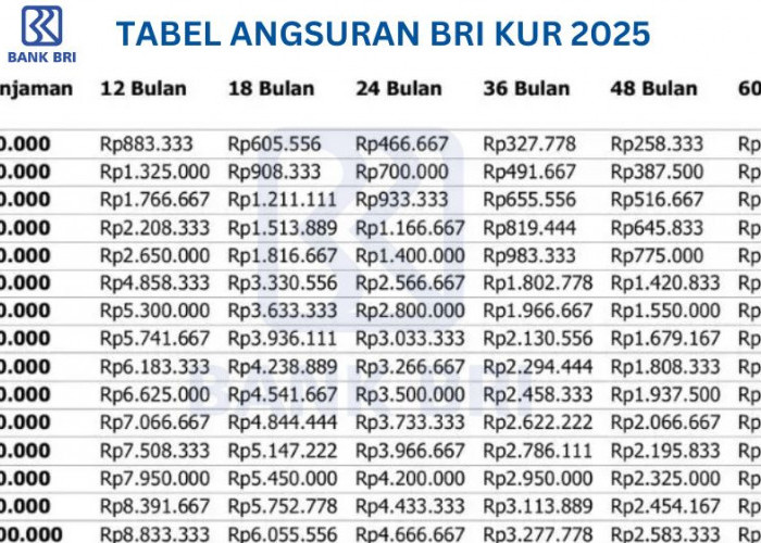 Cepat Cair, KUR BRI 2025 Tanpa Agunan! Dapatkan Pinjaman Modal Usaha Rp10-100 Juta, Cicilan Mulai Rp216 Ribuan