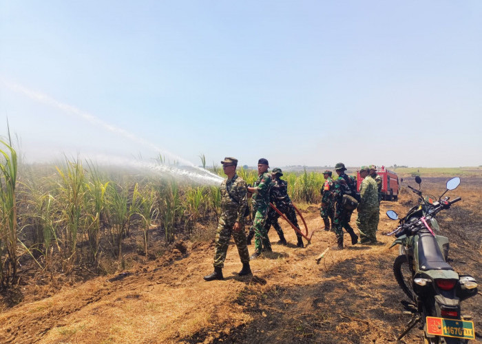 TNI Bersama Warga Berhasil Padamkan Kebakaran Lahan Tebu di Indramayu 