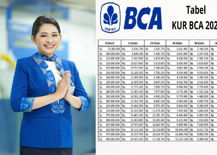 KUR BCA 2025 Tawarkan Pinjaman Rp50 Juta Tanpa Agunan Apapun! UMKM Wajib Cek Sekarang Juga