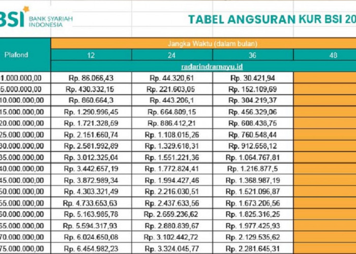 Update Simulasi Angsuran KUR BSI Mei 2025, Suku Bunga Rendah 0,5 Persen, Bisa Pinjam Uang Tanpa Jaminan