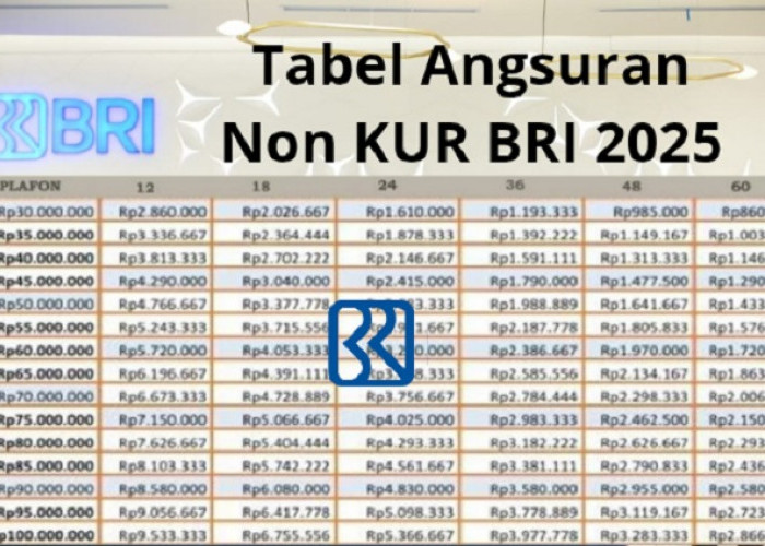 Plafon Pinjaman Hingga 250 Juta, Ini Rincian Tabel Angsuran Non KUR BRI 2025 Lengkap 