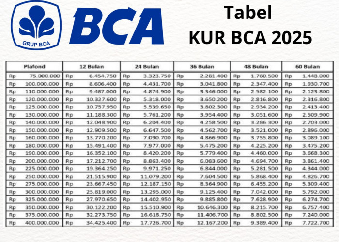 KUR BCA Terbaru 2025: Pinjam Rp10–100 Juta Tanpa Ribet, Berikut Tabel Angsuran Cicilannya!