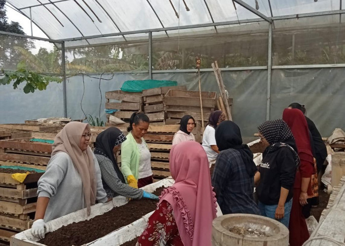 Perempuan Nasabah PNM Mekaar di Bandung Barat Kembangkan Usaha lewat Sinergi Ultra Mikro BRI