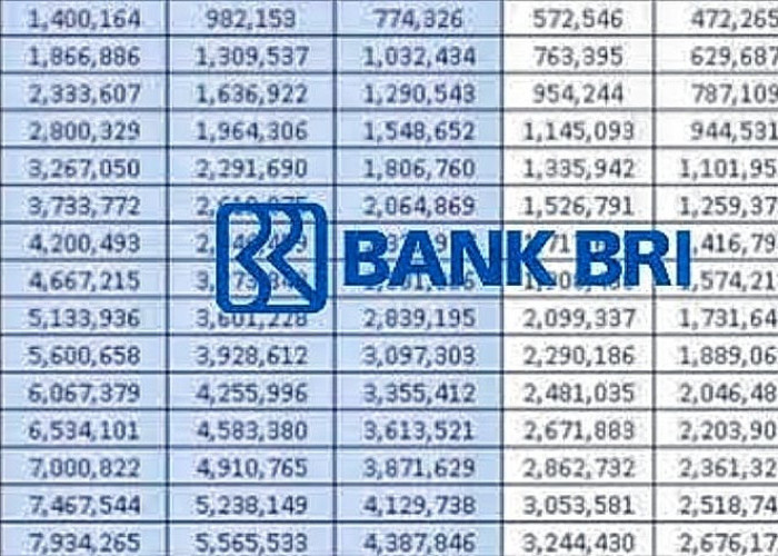 Ada Pinjaman Modal Usaha untuk UMKM Via KUR BRI Maksimal Rp500 Juta dengan Bunga Rendah 3 Persen