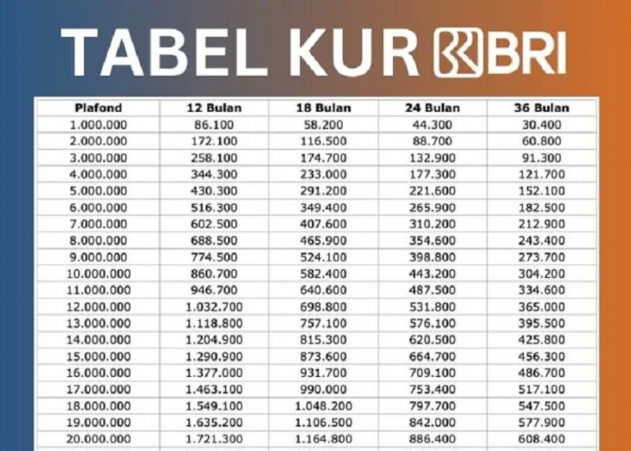 Pinjaman KUR BRI untuk Modal Usaha UMKM dengan Limit Mulai dari Rp10 Juta dan Cicilan Ringan Rp200 Ribuan Aja
