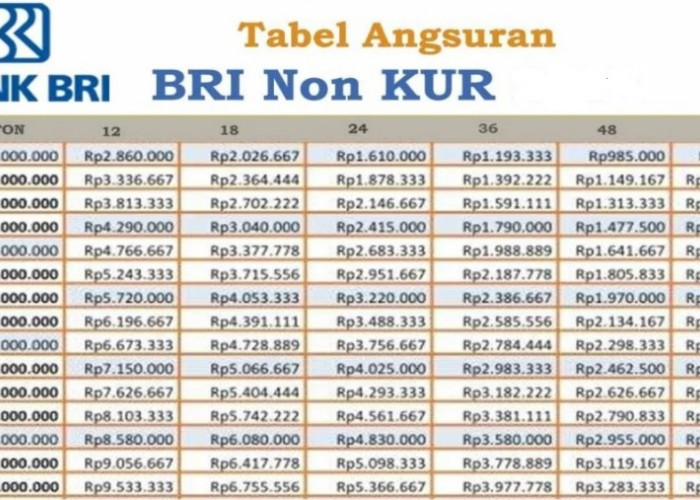 Skema Pinjaman Non KUR BRI 2025 Terbaru: Dapatkan Limit Pinjaman 500 Juta Cicilan Mulai 146 Ribu
