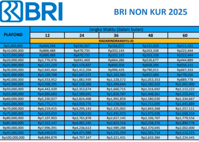 Tabel Non KUR BRI 2025 Terbaru untuk UMKM: Pinjam Hingga 100 Juta dengan Cicilan Mulai dari Rp30 Ribuan!