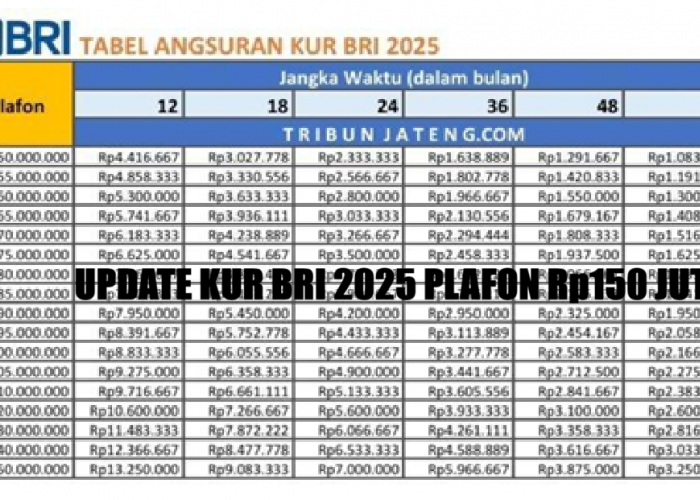 Update Juni! Simak Tabel Angsuran KUR BRI Plafon Rp150 Juta, Cicilan Ringan Cocok Untuk Pelaku UMKM!