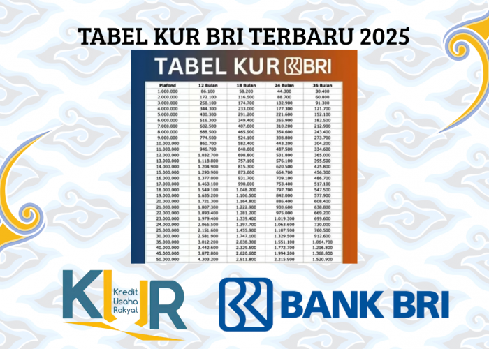 Pinjaman Modal Usaha dengan Cicilan yang Ringan dari KUR BRI 2025!