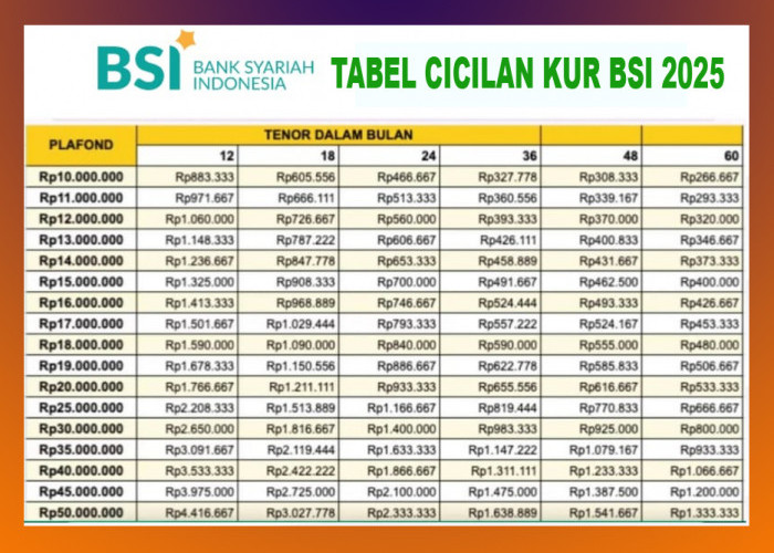 Cicilan Ringan Mulai Rp700 Ribuan untuk Pinjaman KUR BSI 2025 Plafon Rp40-Rp75 Juta, Tanpa Bunga-Tanpa Angunan