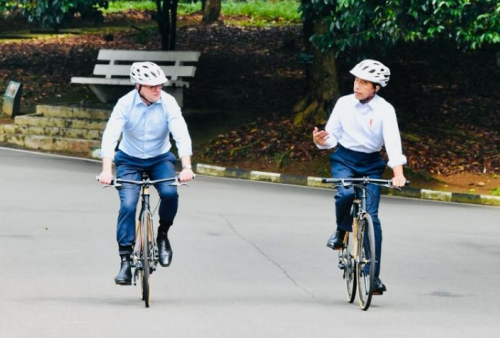 Diplomasi Sepeda Bambu ala Presiden Jokowi
