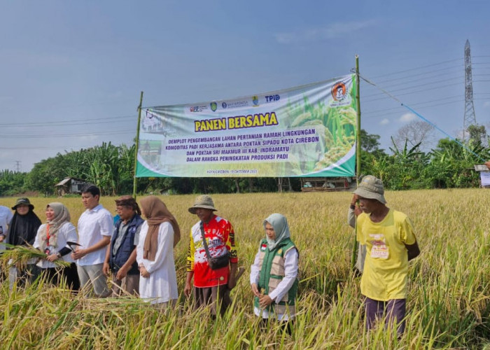 Kolaborasi Kembangkan Pertanian Organik di Kota Cirebon