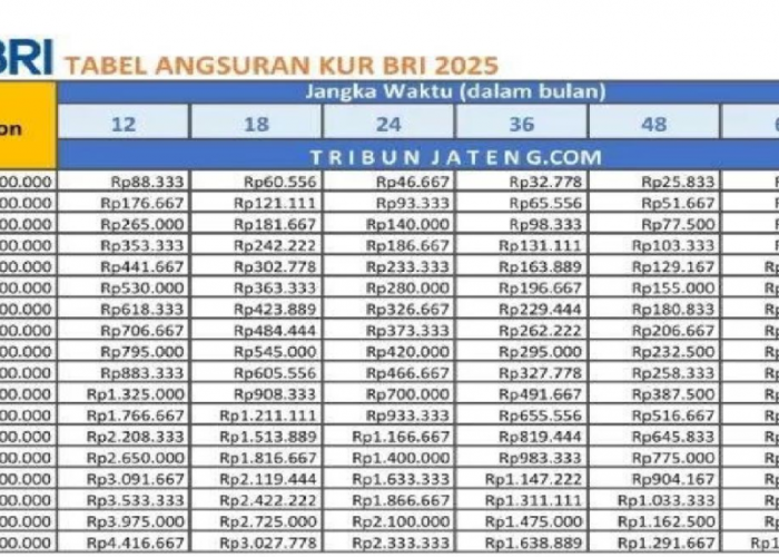 Dapat Modal Usaha Tanpa Beban! KUR BRI 2025 Tawarkan Angsuran Enteng Banget!