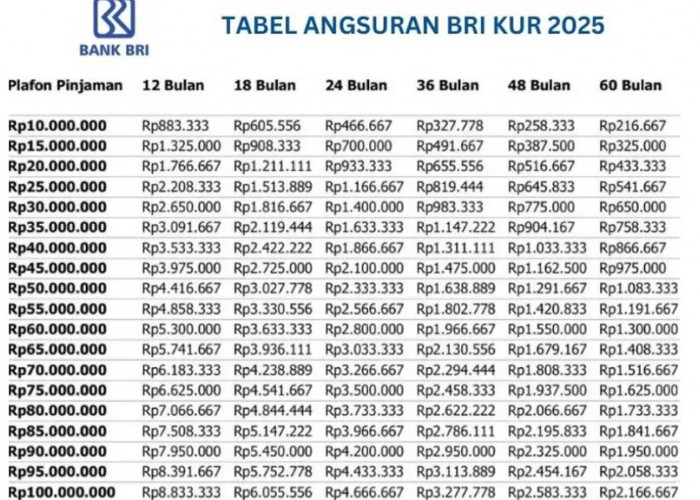 Tabel KUR BRI 100 Juta 5 Tahun Tenor Pinjaman, Berikut Rincian Simulasinya untuk UMKM