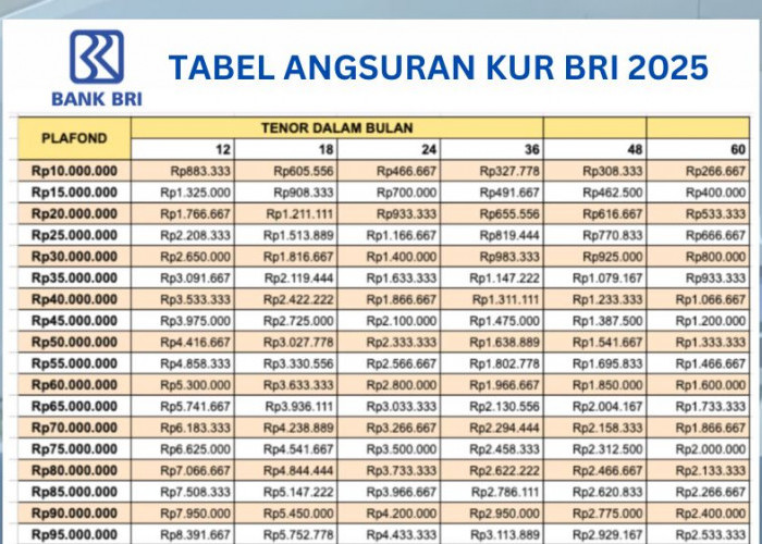 Cuma Bayar 1 Jutaan per Bulan Bisa Pinjam Uang 80 Juta di BRI, Cek Cicilan dan Plafon Kredit Lengkap 