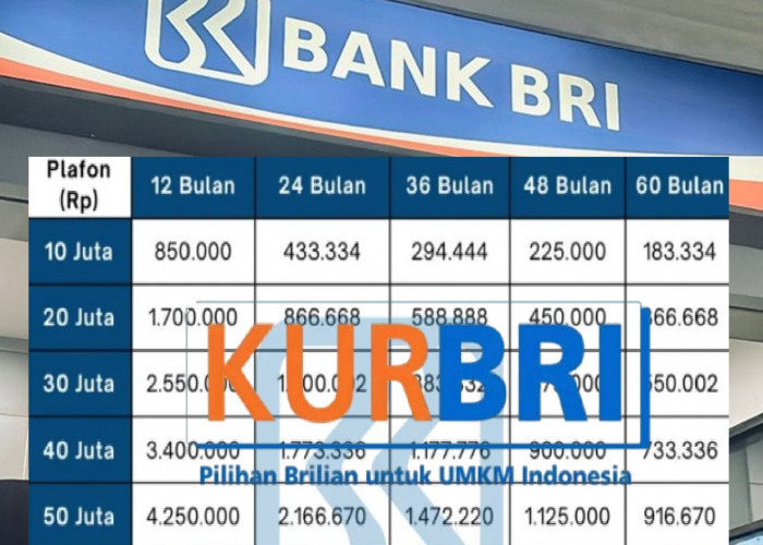 Tabel Angsuran KUR BRI 2025 Pinjaman Rp30 Juta: Cek Simulasi Cicilan Paling Ringan Berikut Ini! 