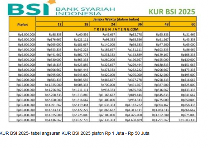 Cuma Klik dari HP! Begini Cara Pengajuan KUR BSI Online, Langsung Cair!
