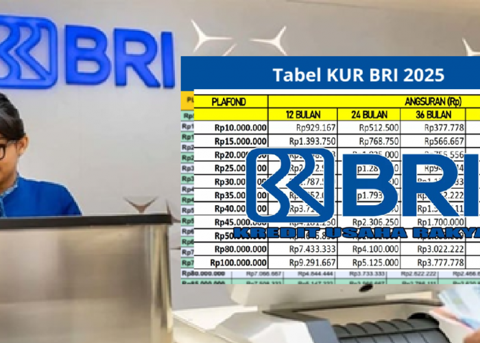 Cara Dapat KUR BRI 2025 Hingga Rp500 Juta Tanpa Jaminan, Langsung Cair dalam Hitungan Hari!