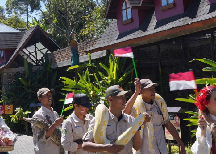 Tak Kalah Uniknya, Sambut HUT RI ke-78 LPZ Gelar Parade Satwa di Lembang Park and Zoo