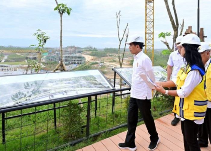 Presiden Jokowi Tinjau Pembangunan Kantor di Kawasan Ibu Kota Nusantara